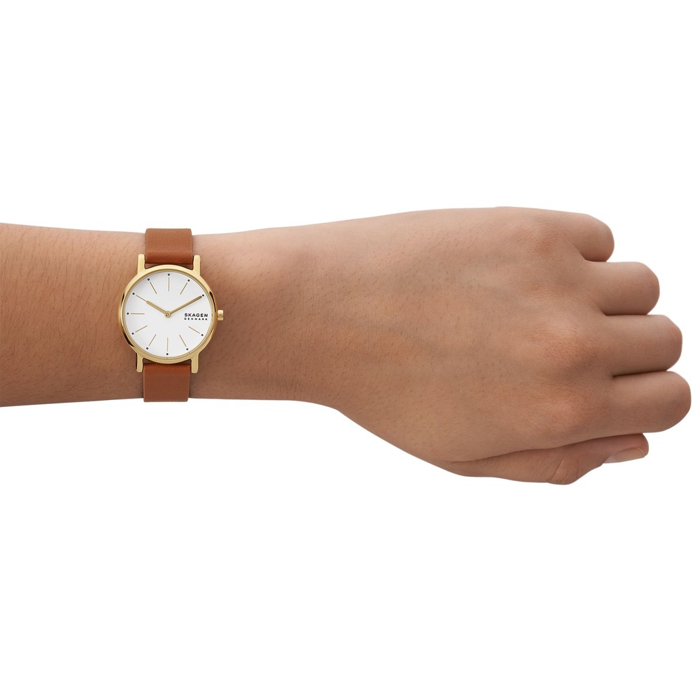 Skagen Montre pour femme Acier inoxydable Montre