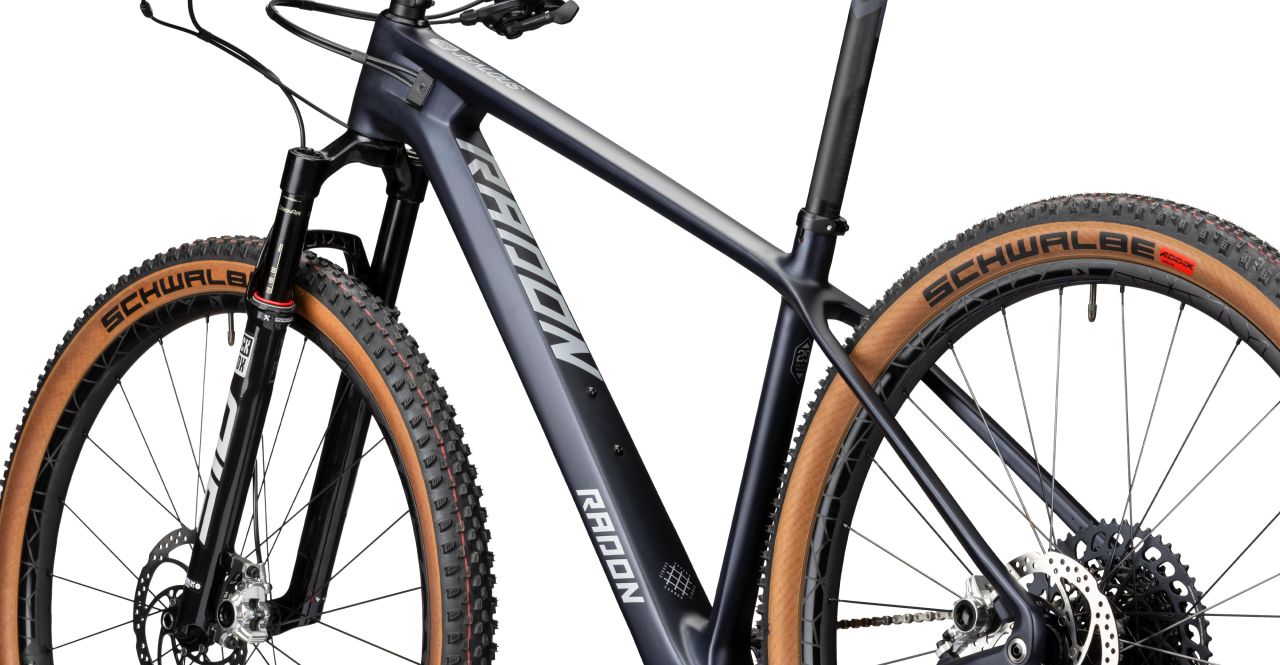 Radon Jealous 10.0 kaufen | Bike-Discount