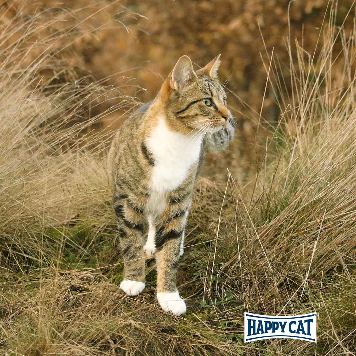 Happy Cat Bio Pouch Huhn & Ente günstig kaufen bei ZooRoyal