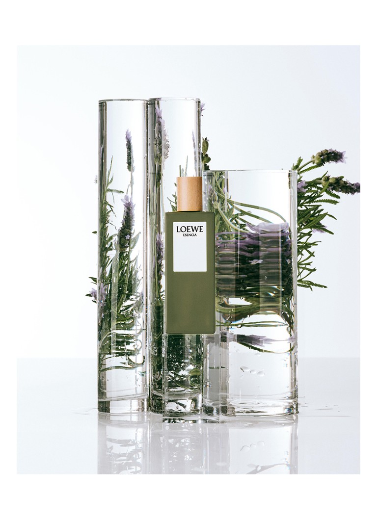 LOEWE Esencia tualetes ūdens