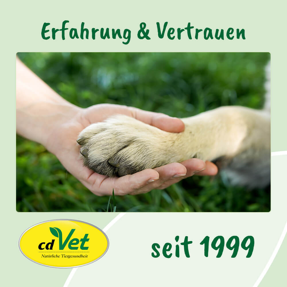 dentaVet Zahnpflege dentaVet Anti-Plaque