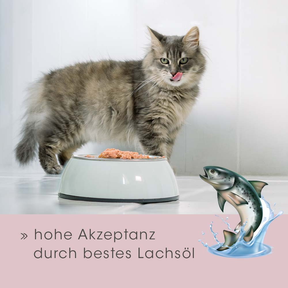 feliTATZ Fell- & Körperpflege feliTATZ FellGlanz
