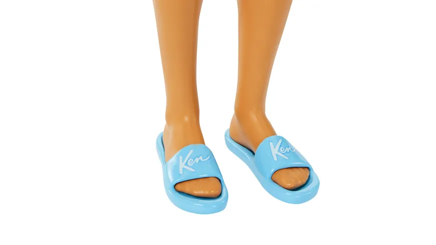 Barbie Strandtag Ken