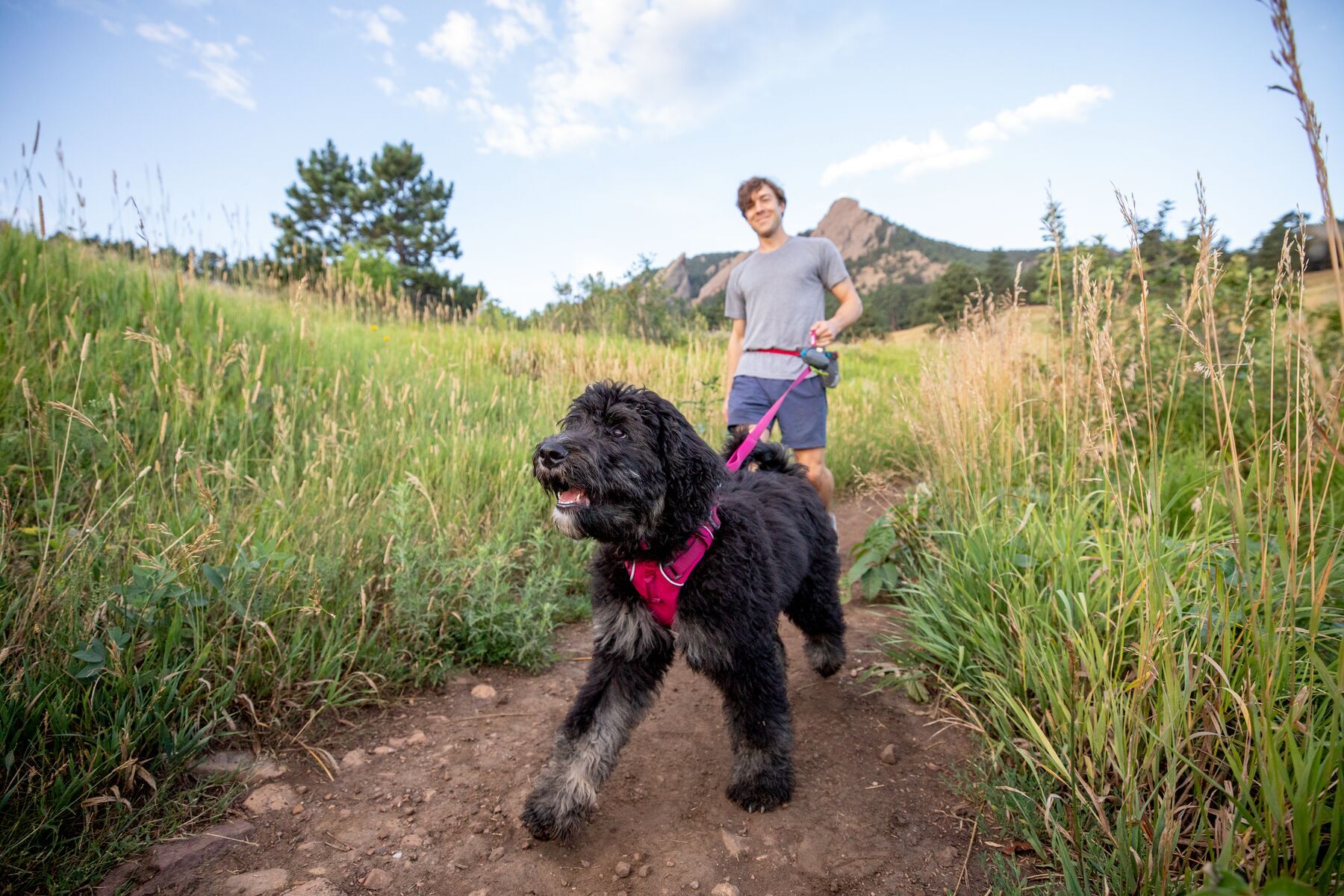 Ruffwear Hundeleinen Ruffwear Front Range™ Leine pink