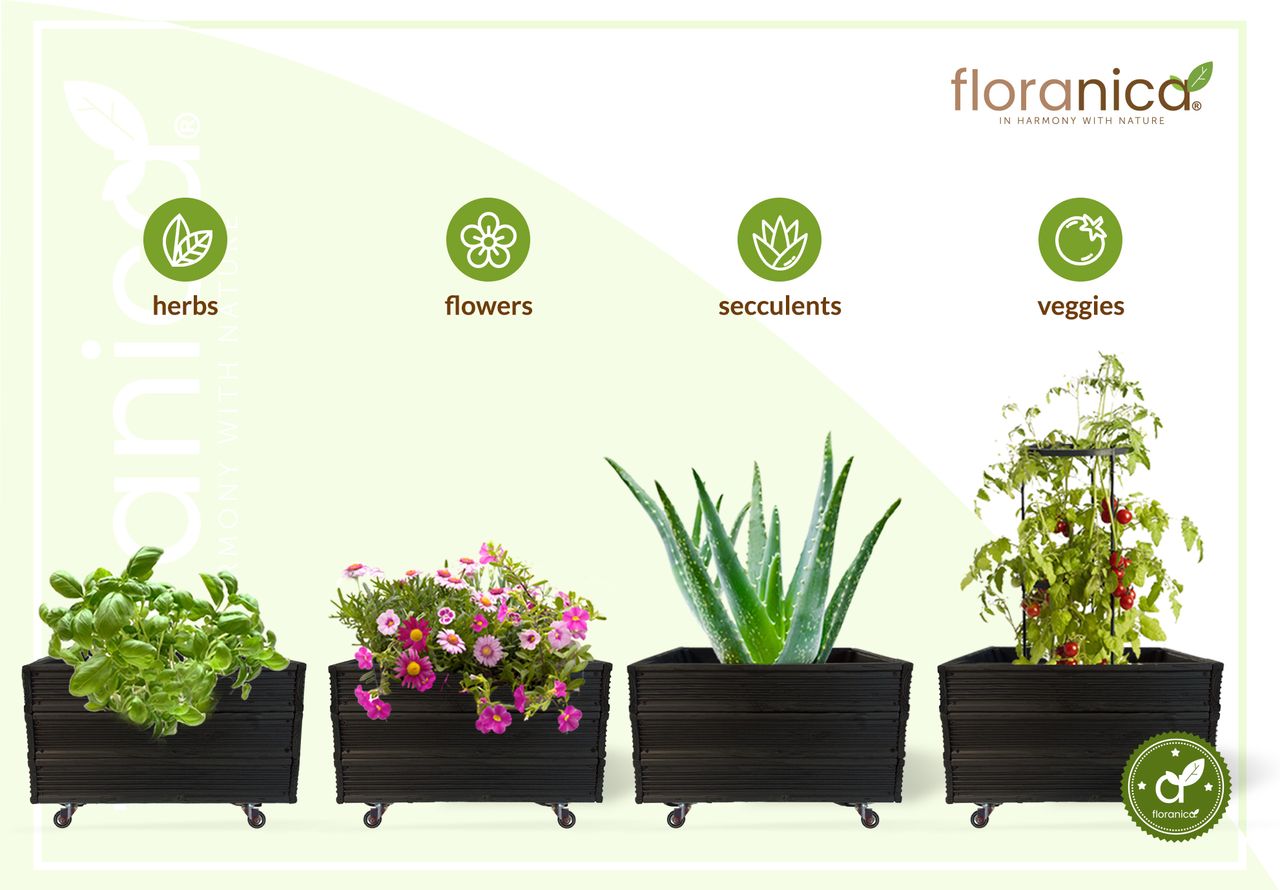 Pemicont Floranica Blumentopf aus Holz Kasten 4 Rollen 50cm x 535cm x 285cm Anthrazit Imprägnierte Lärche Schutzhülle für Kräuter Blumen Haus- und Gartendekoration Innen- und Außeneinsatz