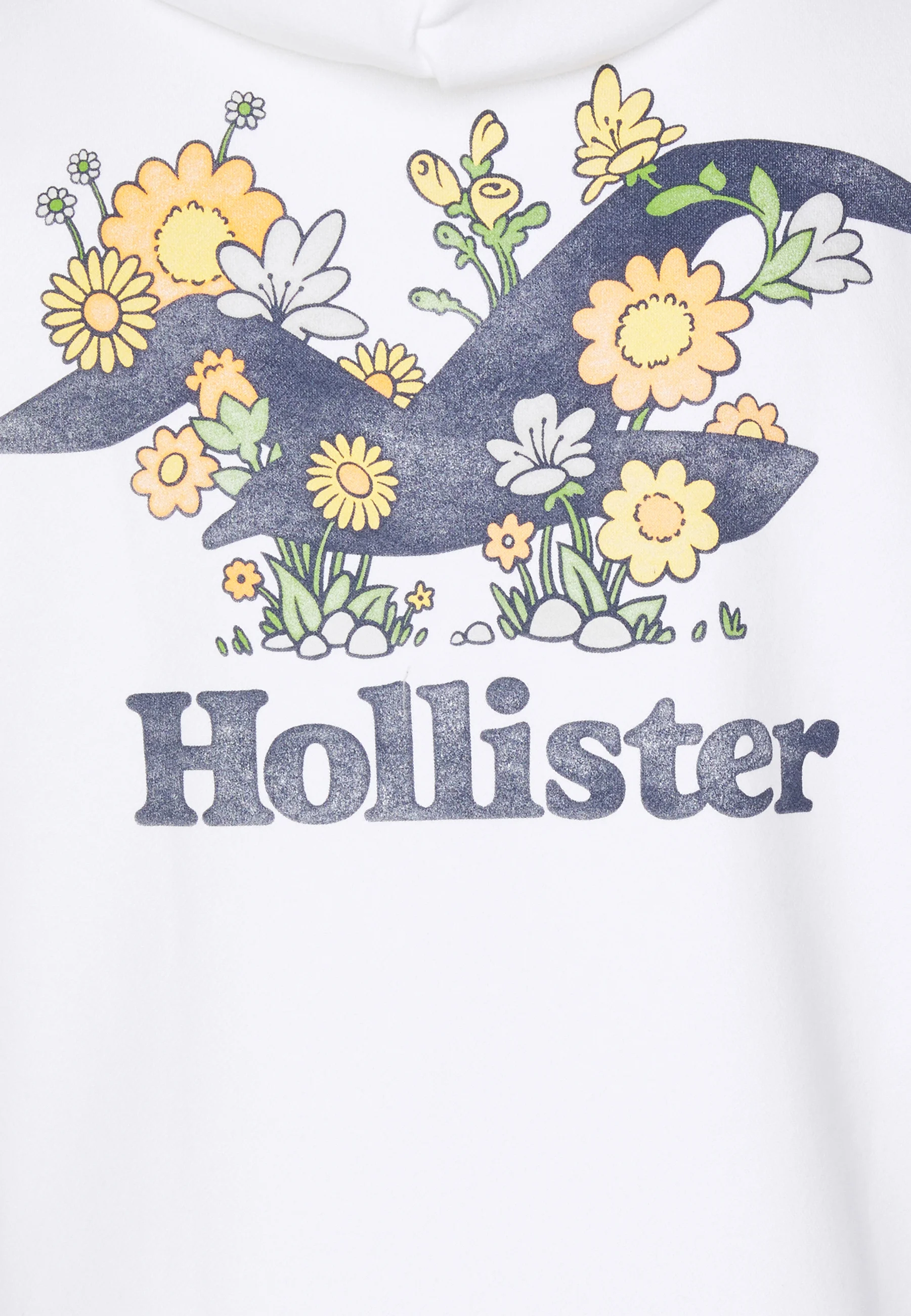 Hollister Co. LICENCIAS - Sudadera con capucha