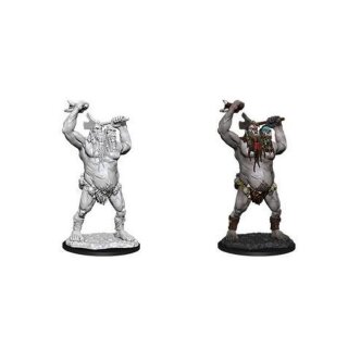D&D Nolzur's Marvelous Miniatures - Ettin