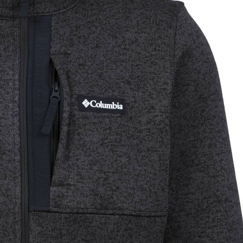 Columbia SWEATER WEATHER Fleecejacke Herren