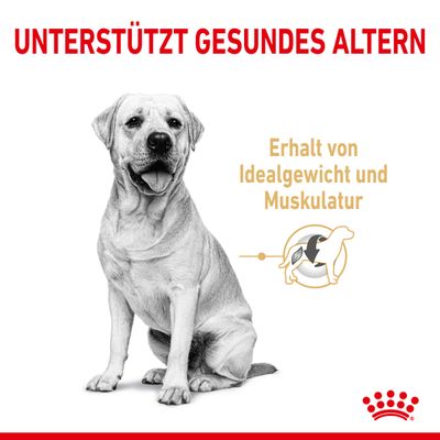 Royal Canin Labrador Retriever Adult 5+