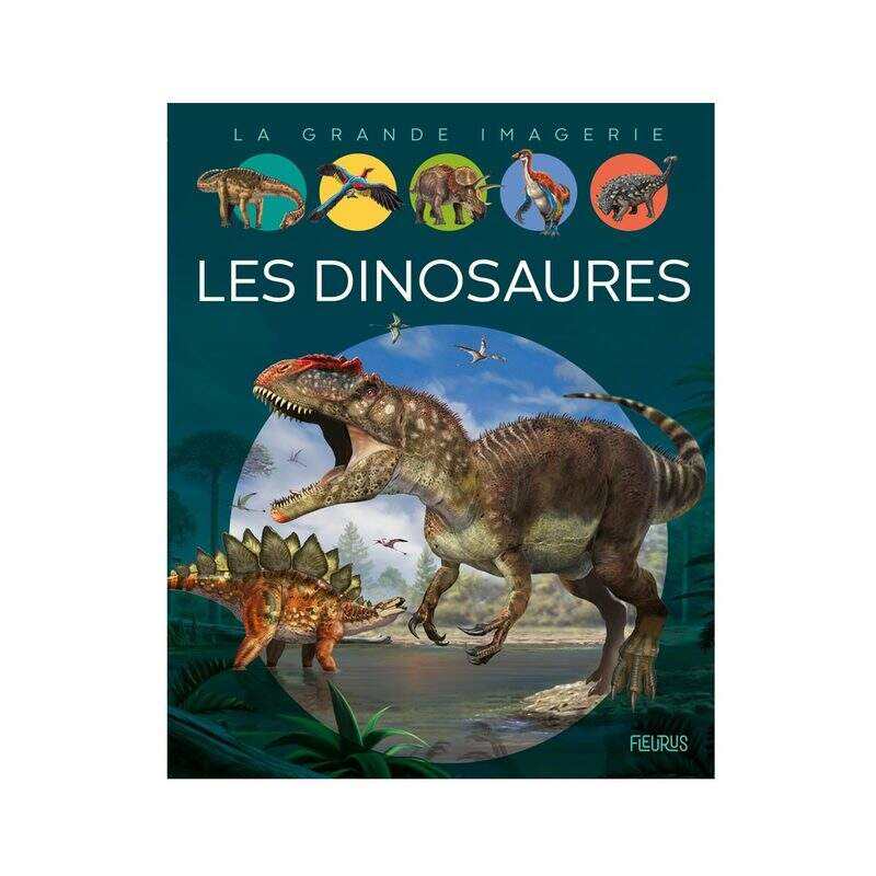 Livre Les Dinosaures - Fleurus