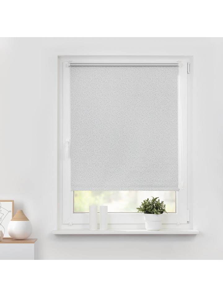 Lichtblick Seitenzugrollo in Motiv Print günstig kaufen