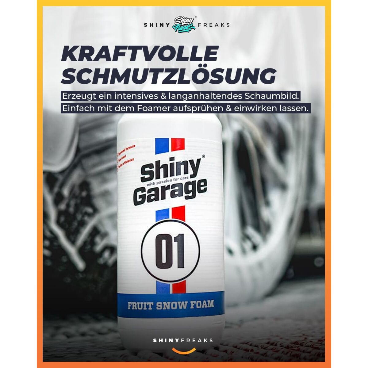 Shiny Garage - Wascheimer Set | Pro 19L