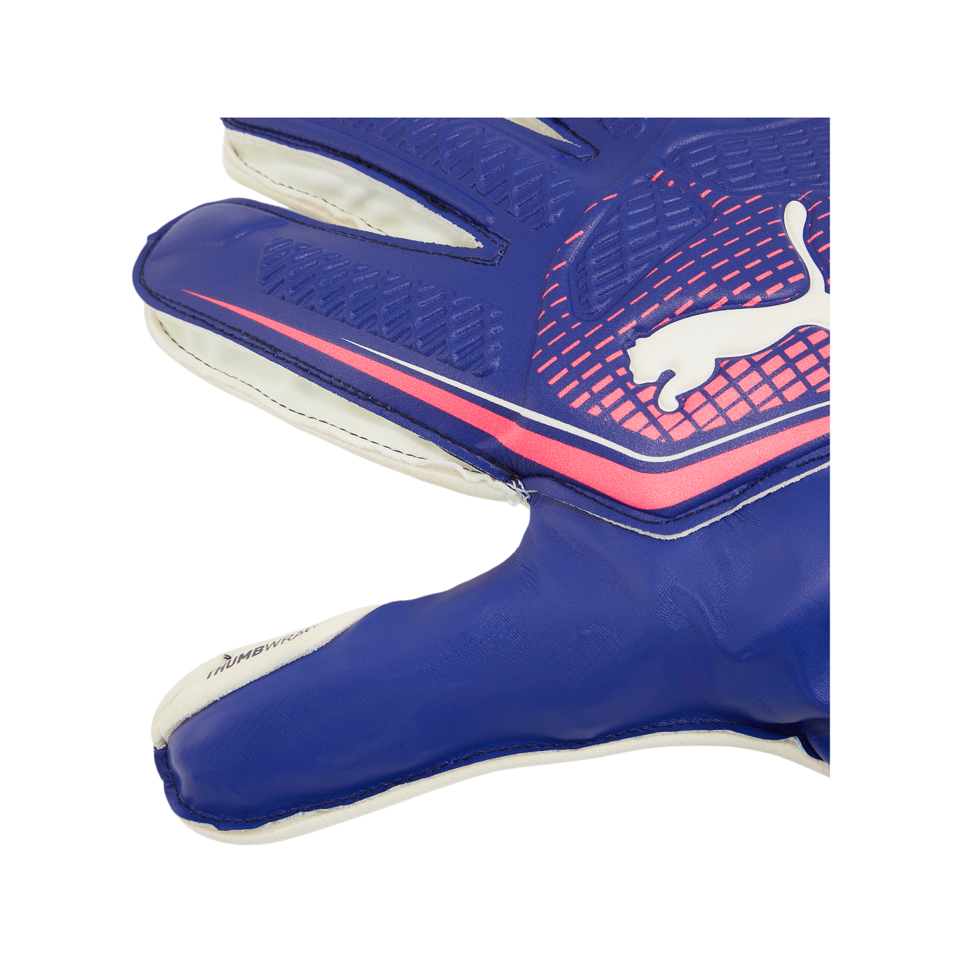 PUMA PUMA ULTRA Match Protect RC Torwarthandschuhe Pink F01