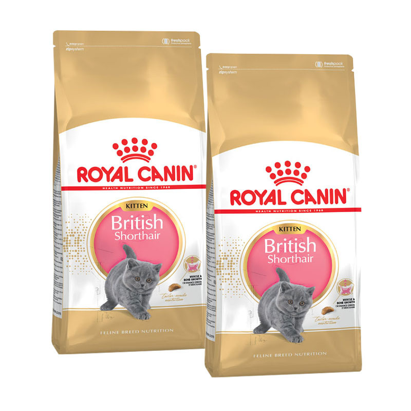 ROYAL CANIN Trockenfutter ROYAL CANIN British Shorthair Kitten 2x10 kg