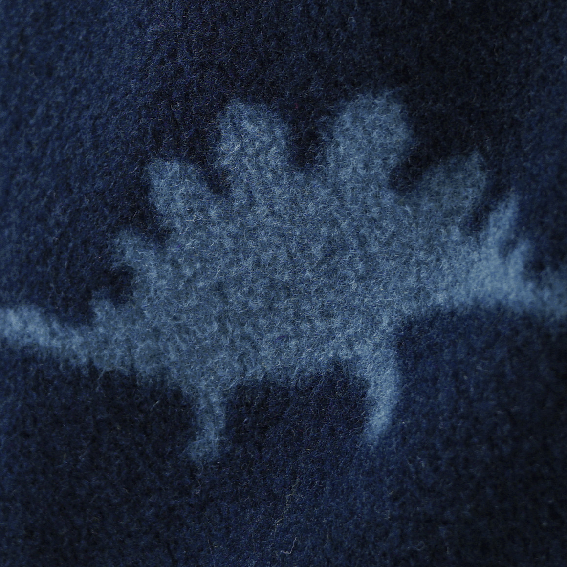 Jungen Fleecejacke mit Dino-Motiv