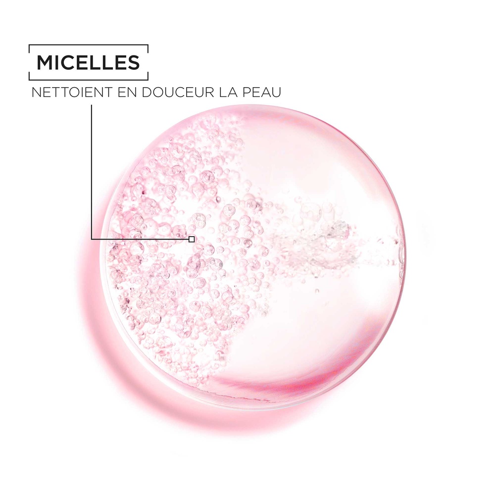 garnier SkinActive Solution Micellaire Tout En 1 Peaux Sèches et Sensibles