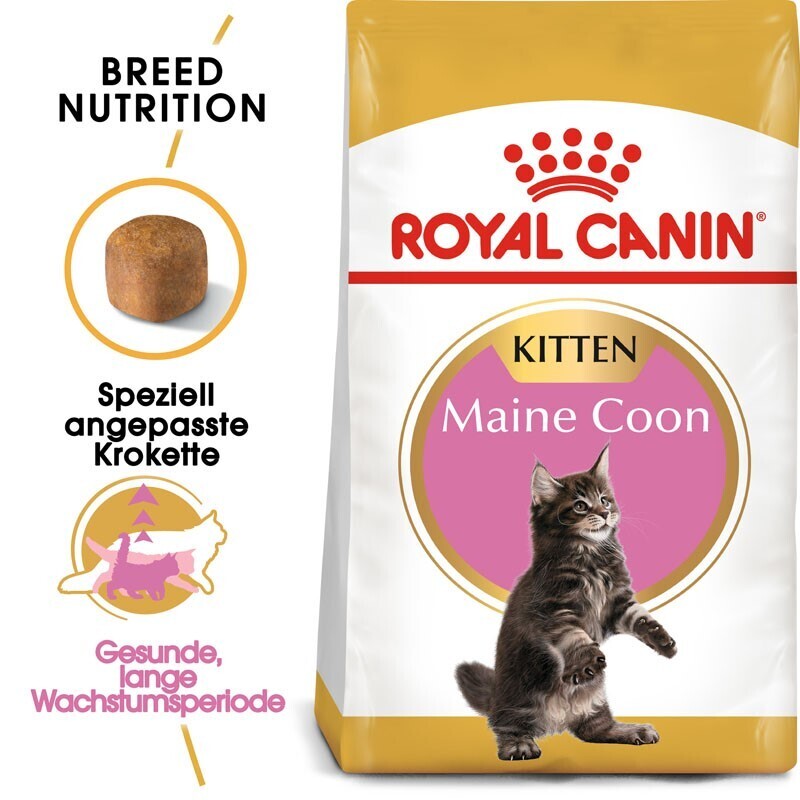 ROYAL CANIN Trockenfutter ROYAL CANIN Maine Coon Kitten 10 kg