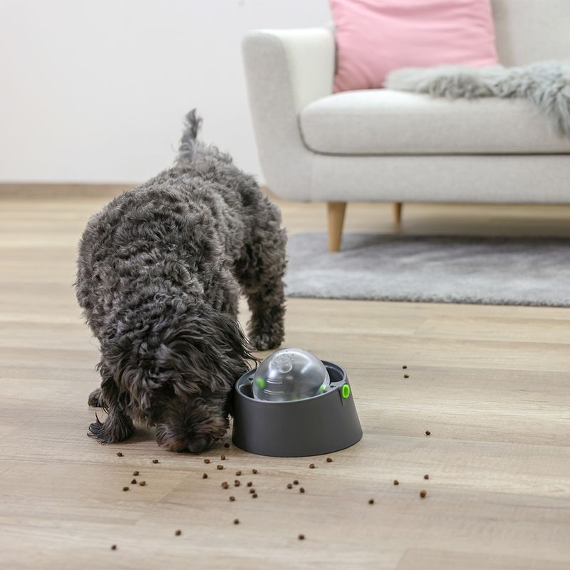 Kerbl Pet Multifeeder 3-in-1 Set zu TOP-Preisen