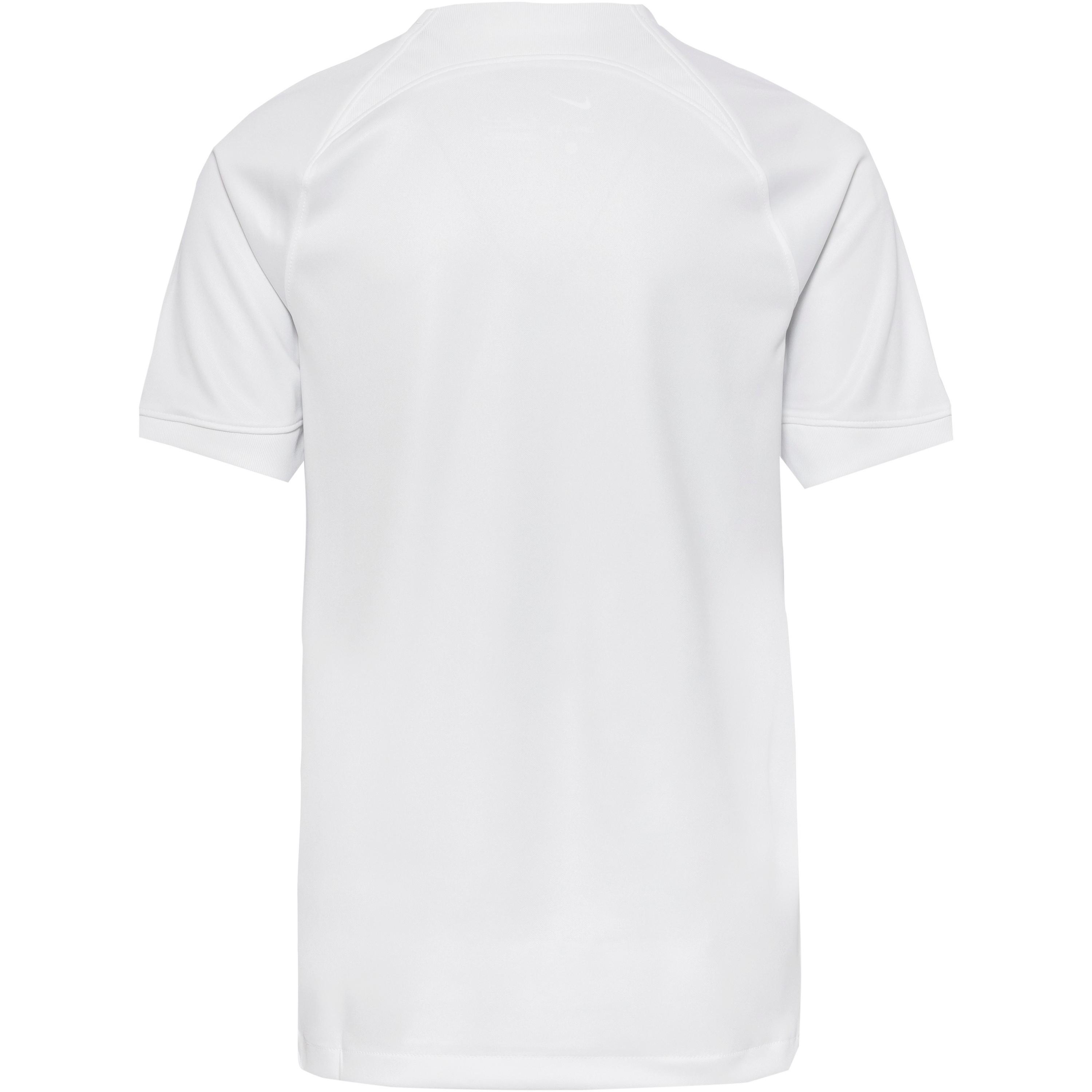 Performance Shirt 'Inter Mailand 23-24 Ausw?rts'