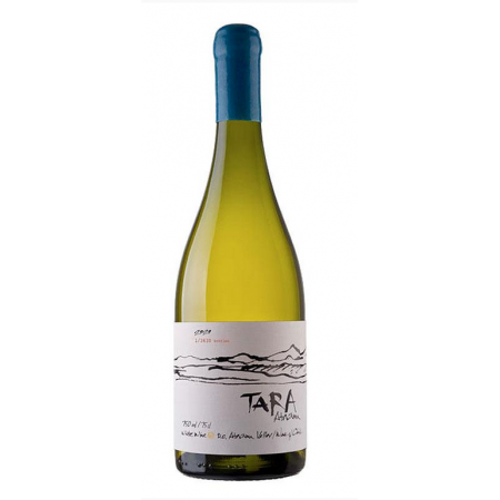 WHITE WINE N°3 2022 - SAUVIGNON BLANC - TARA