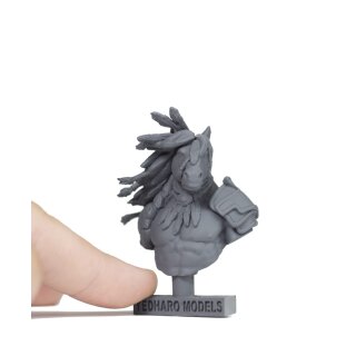 Sagittarius Bust