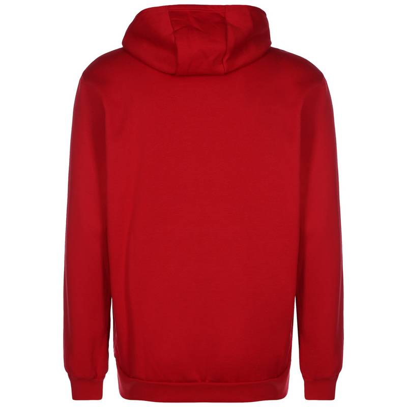 adidas Entrada 22 Hoodie Herren