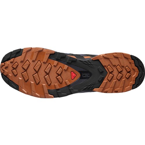 HERREN OUTDOORSCHUHE XA PRO 3D V8 GTX