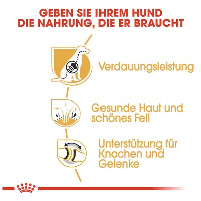Royal Canin German Shepherd Adult