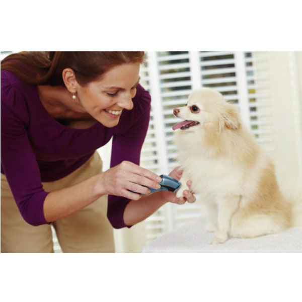 Oster kabelloser Mini Trimmer günstig kaufen bei ZooRoyal