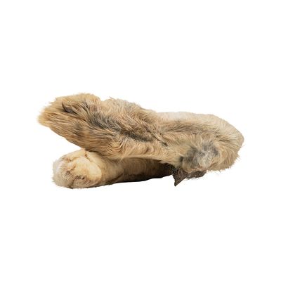 Caniland Kaninchenpfoten mit Fell