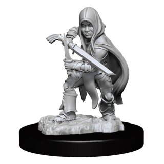 D&D Nolzur's Marvelous Miniatures - Halfling Rogue Male