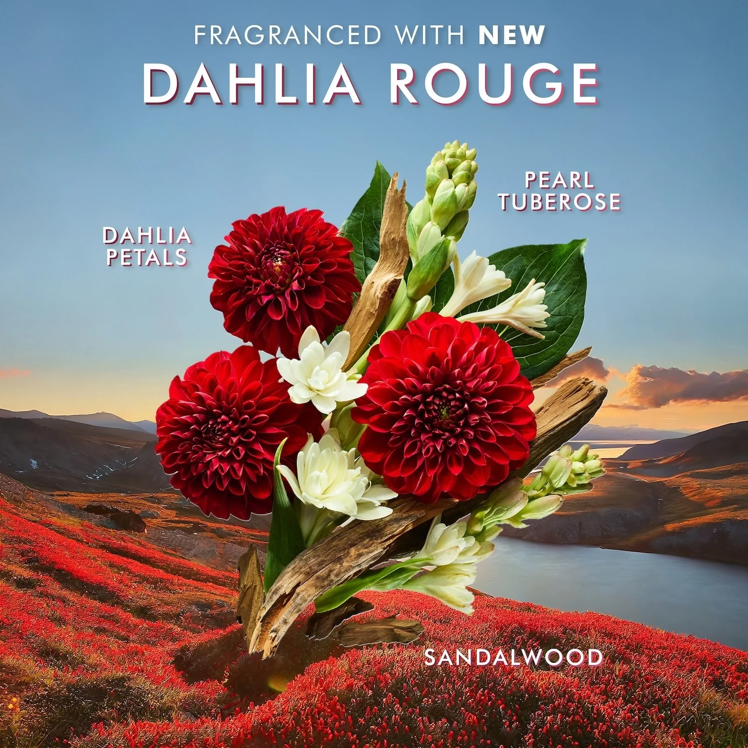 Krema za roke DAHLIA ROUGE - Nega rok