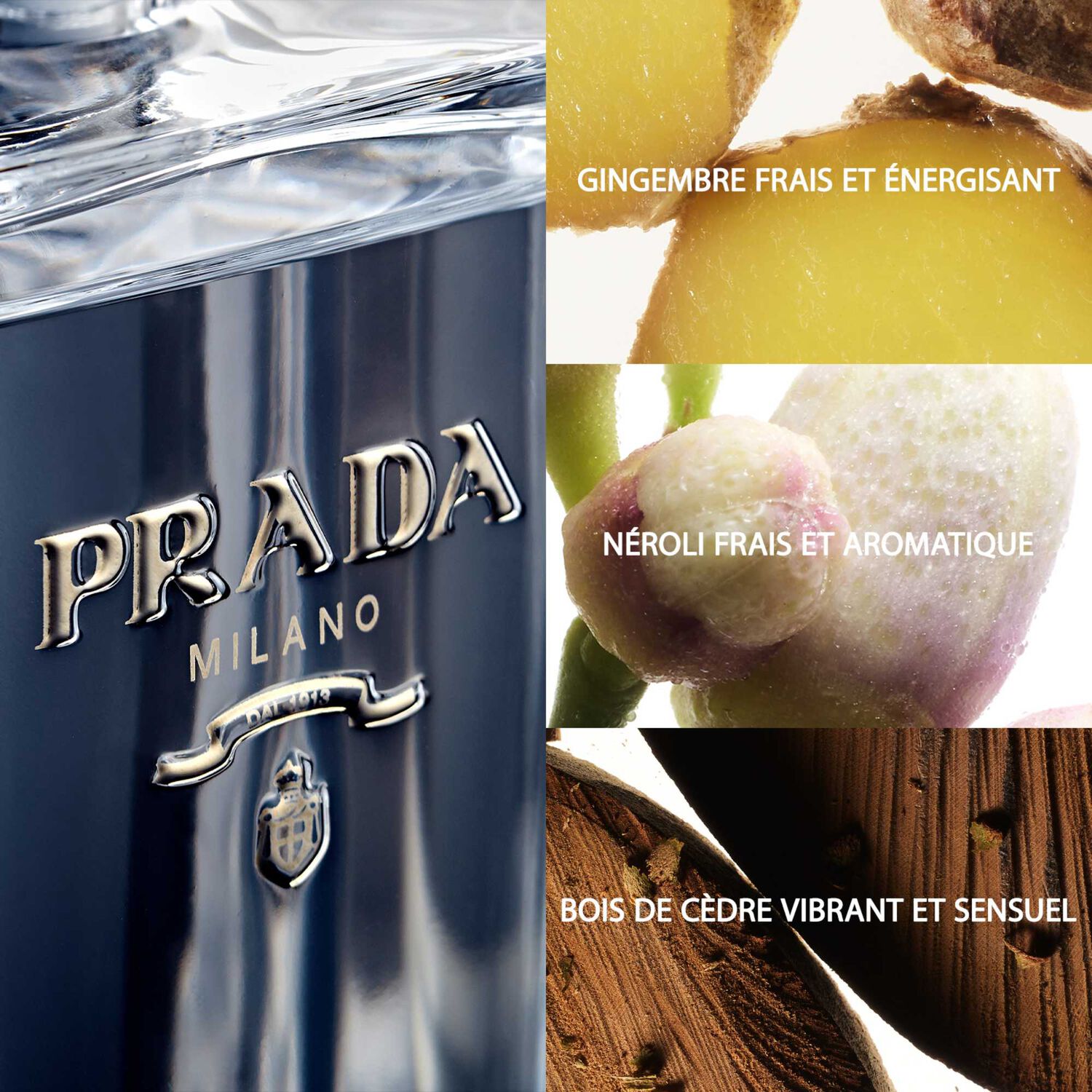 Prada L'Homme Prada L'Eau Eau de Toilette