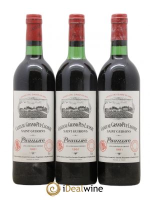 Château Grand Puy Lacoste 5ème Grand Cru Classé  1981 - Lot de 3 Bouteilles