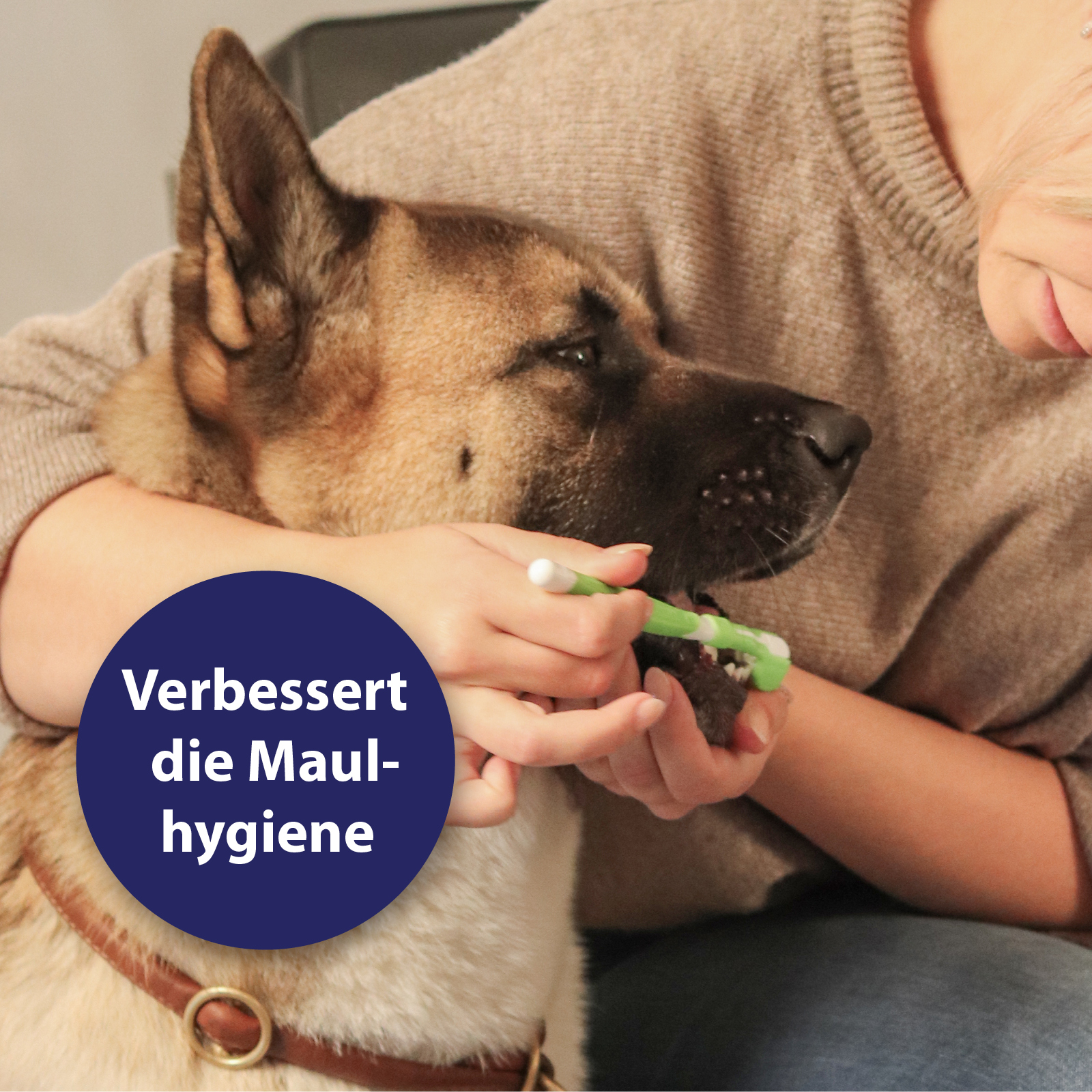 Canosept Zahnpflege Canosept Zahnpflege-Set für Hunde
