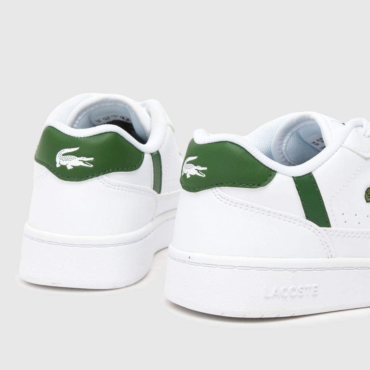 Komplet superg Lacoste s sponko za kratke hlače v beli in zeleni barvi za fante in otroke