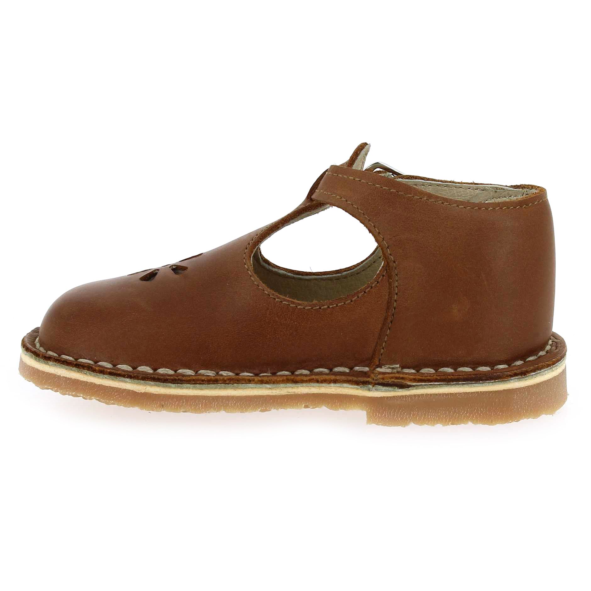 Aster  BIMBO - Cognac