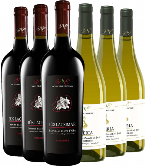 Vigna degli Estensi Kennenlern-Paket - Vigna degli Estensi