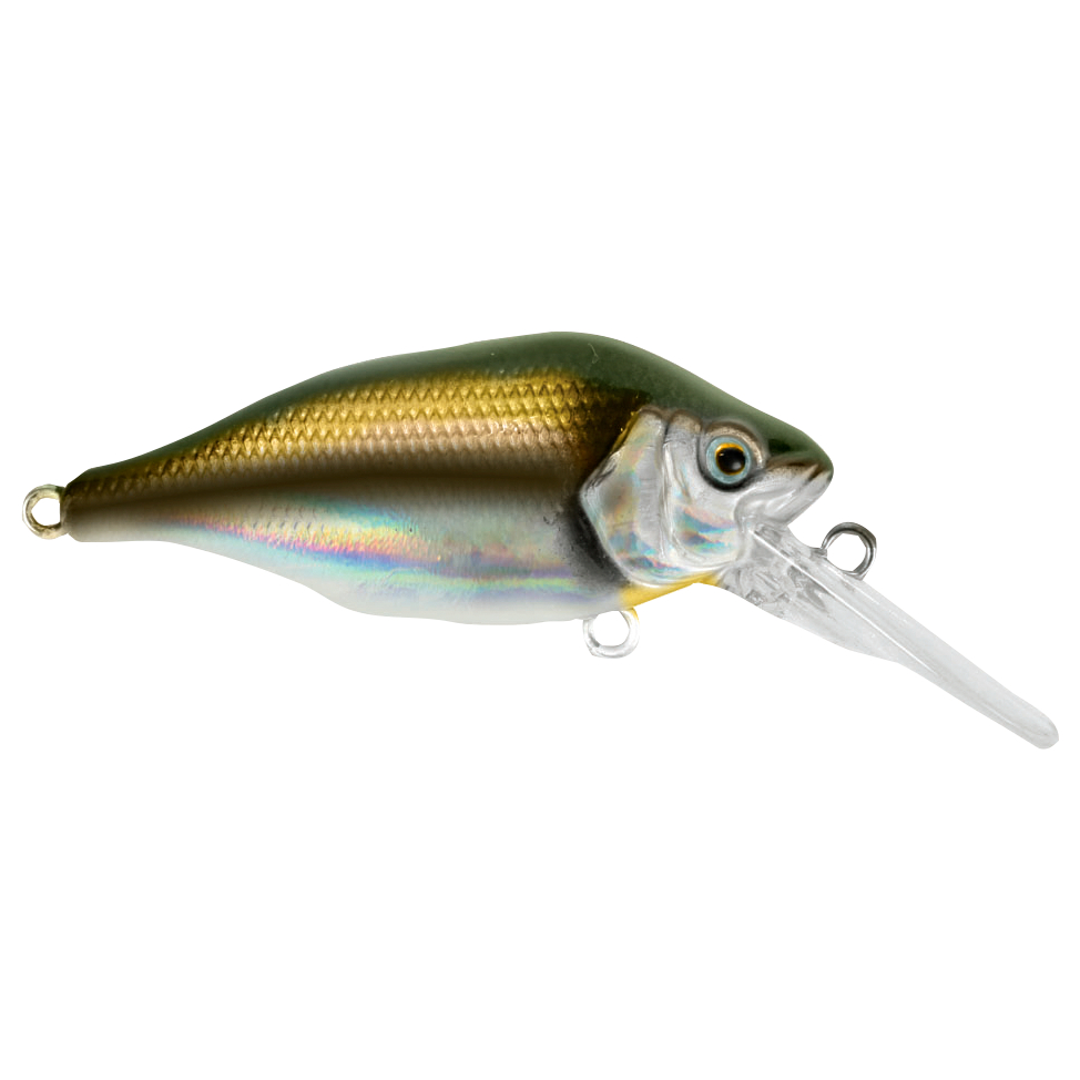 Fox Rage Wobbler Funk Bug SR/DR (UV Real Shiner)
