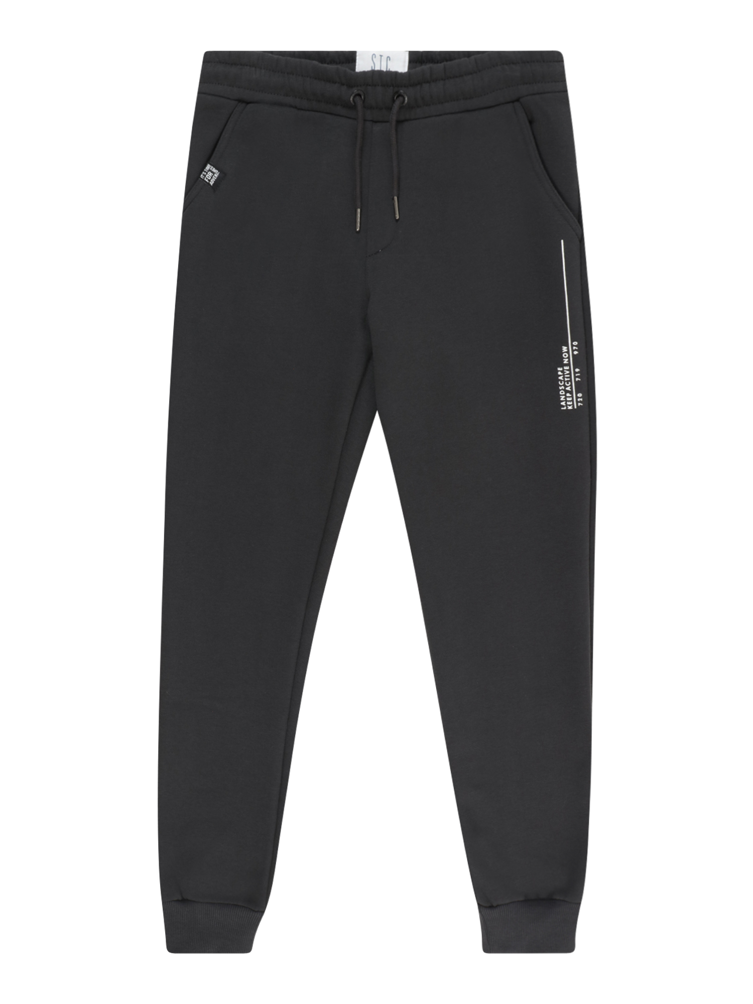 Tapered Pants