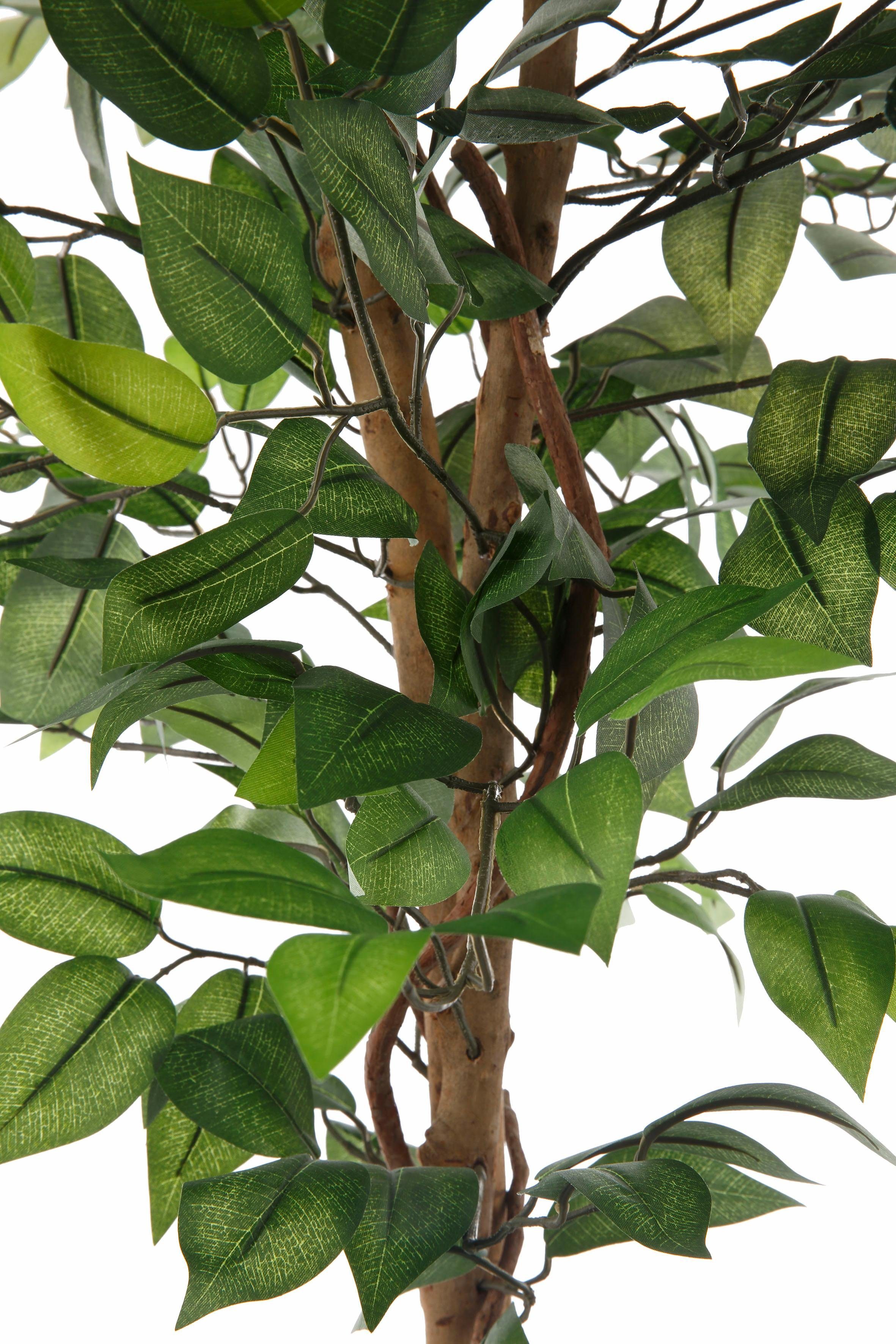 Kunstpflanze Ficus Benjamini Ficus Benjamini, Creativ green, Höhe 120 cm