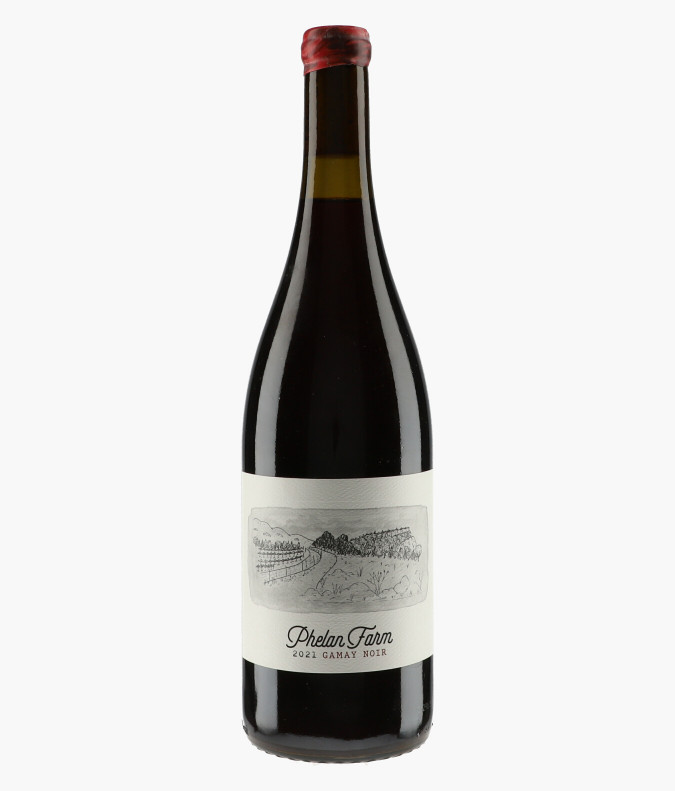 Gamay Noir 2021PHELAN FARM