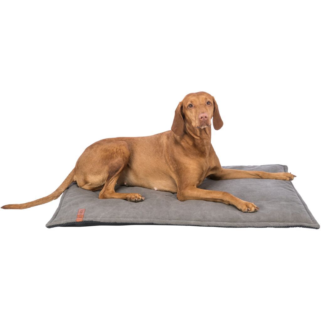 Trixie Hundekissen Trixie BE NORDIC Liegematte Föhr