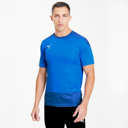 HERREN FANTRIKOT TEAMGOAL 23 TRAINING JERSE