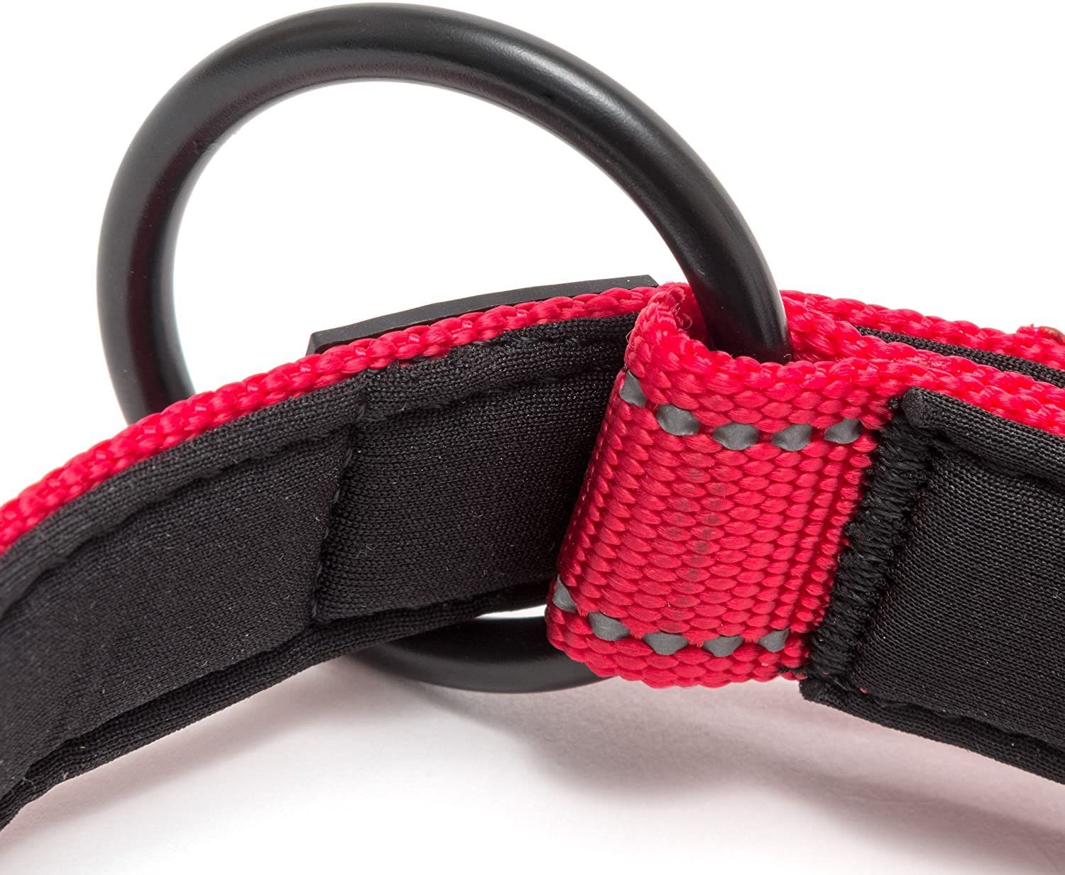 Happilax Hunde-Halsband Hundehalsband gepolstert, größenverstellbar & reflektierend, Rot S Nylon
