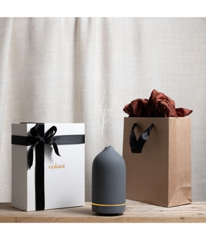 volant Grey Volant Aroma Diffusor-100 ml