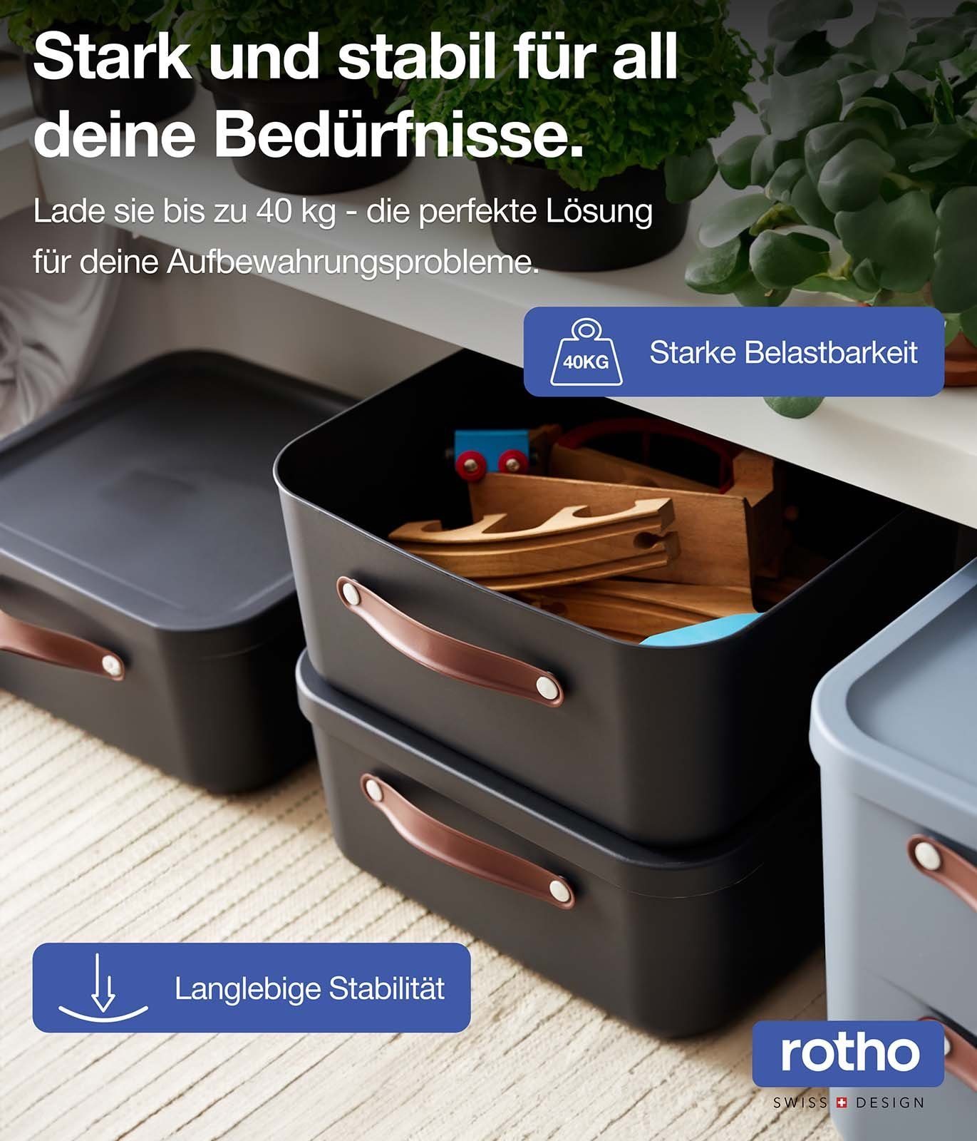 ROTHO Aufbewahrungsbox Aufbewahrungsbox mit Deckel Maloja 20l (Aufbewahrungsset, 2er-Set)