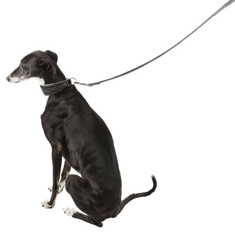 Trixie Active Comfort Halsband für Windhunde - schwarz/grau