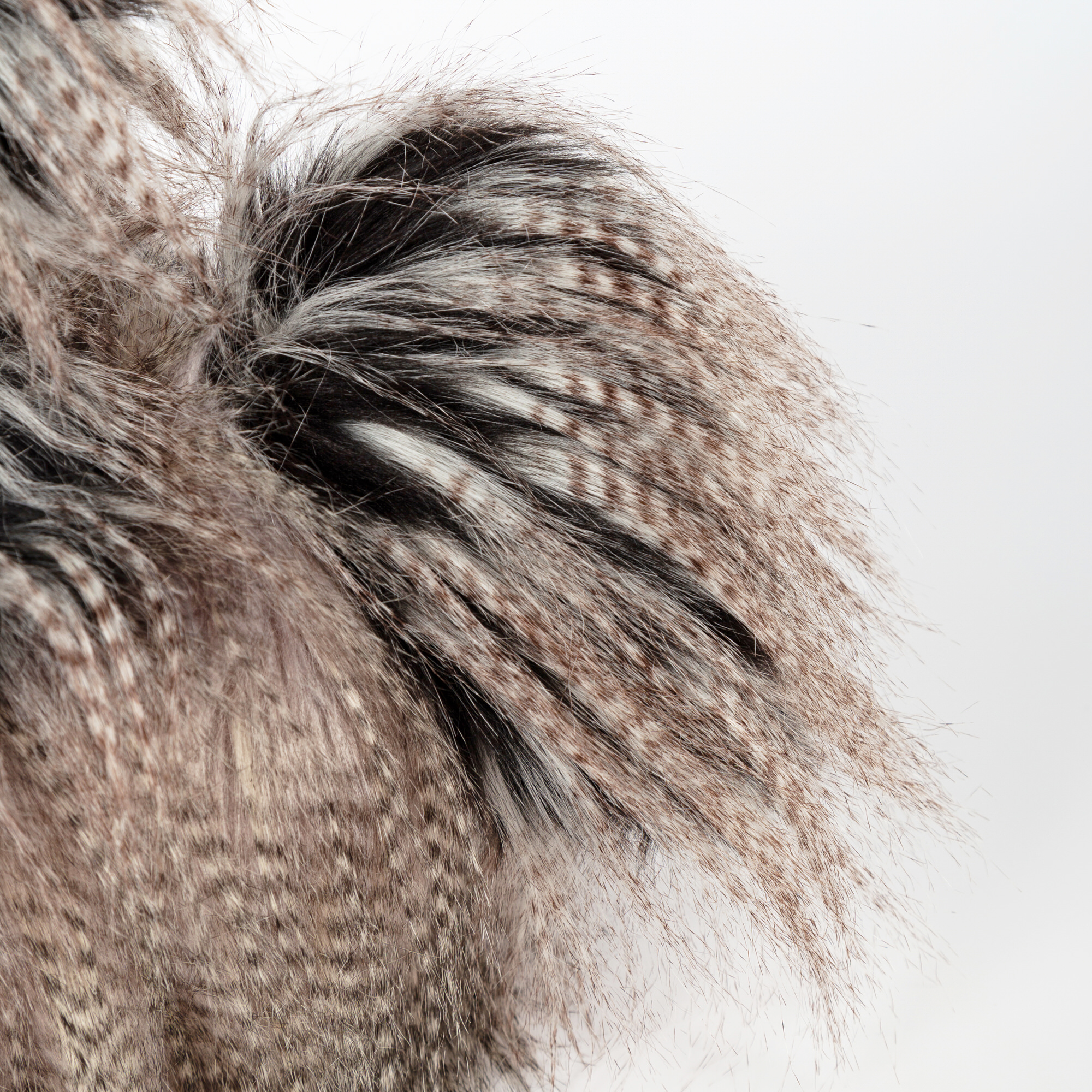 Kuschelhahn Roost Boost, Kikeriki
