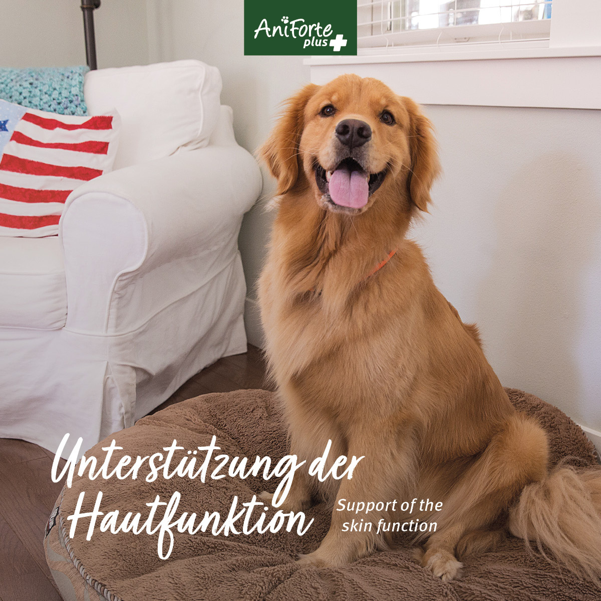 Aniforte Ergänzungsfutter & Aufzucht Aniforte Plus Fell & Haut 90 Tabletten
